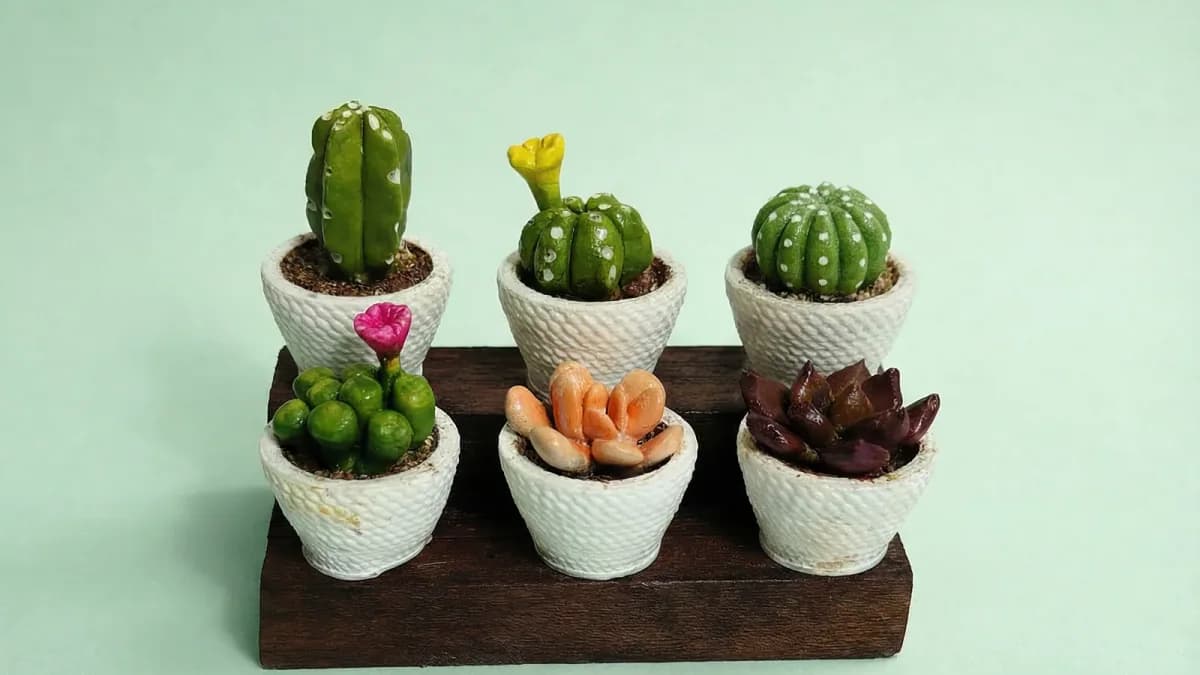 Balcony Garden Setup in Bangalore: How to Budget Without Overbuying - Whole Lot of Nature