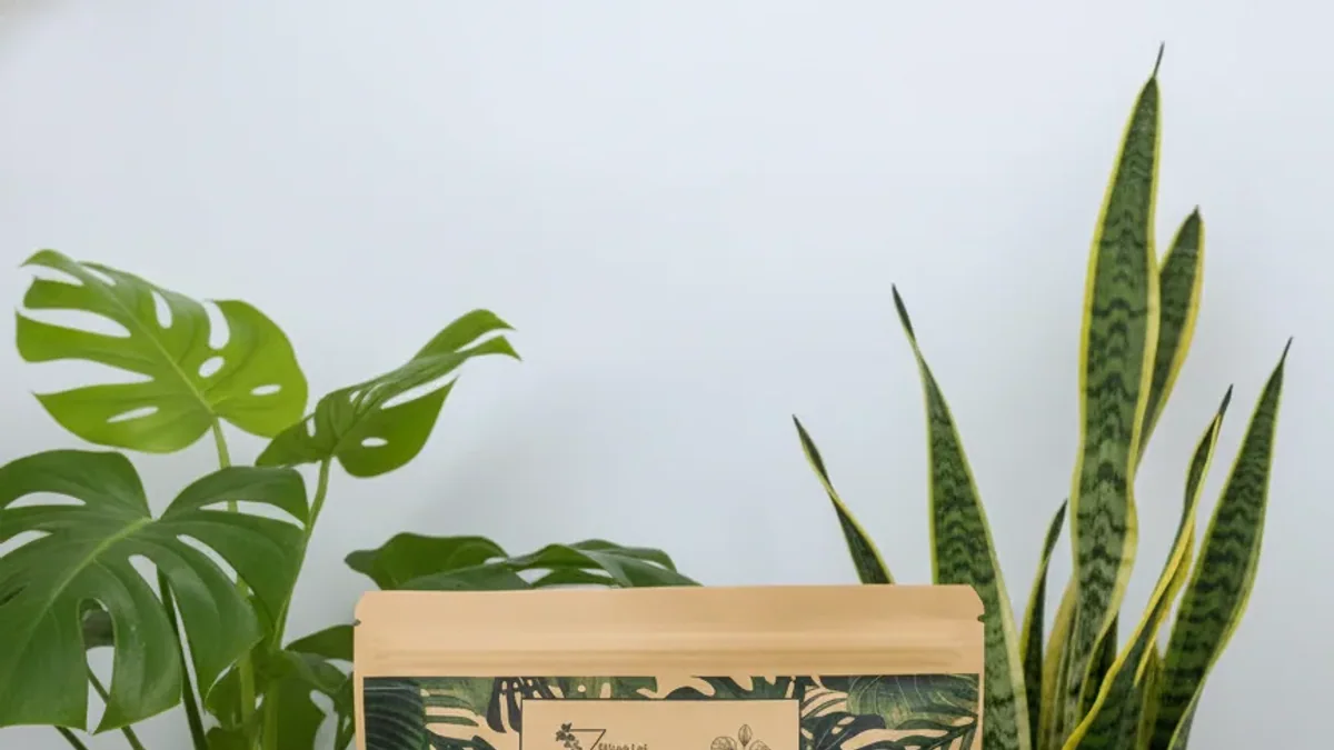 Fungus Gnats in Houseplants: Break the Life Cycle - Whole Lot of Nature