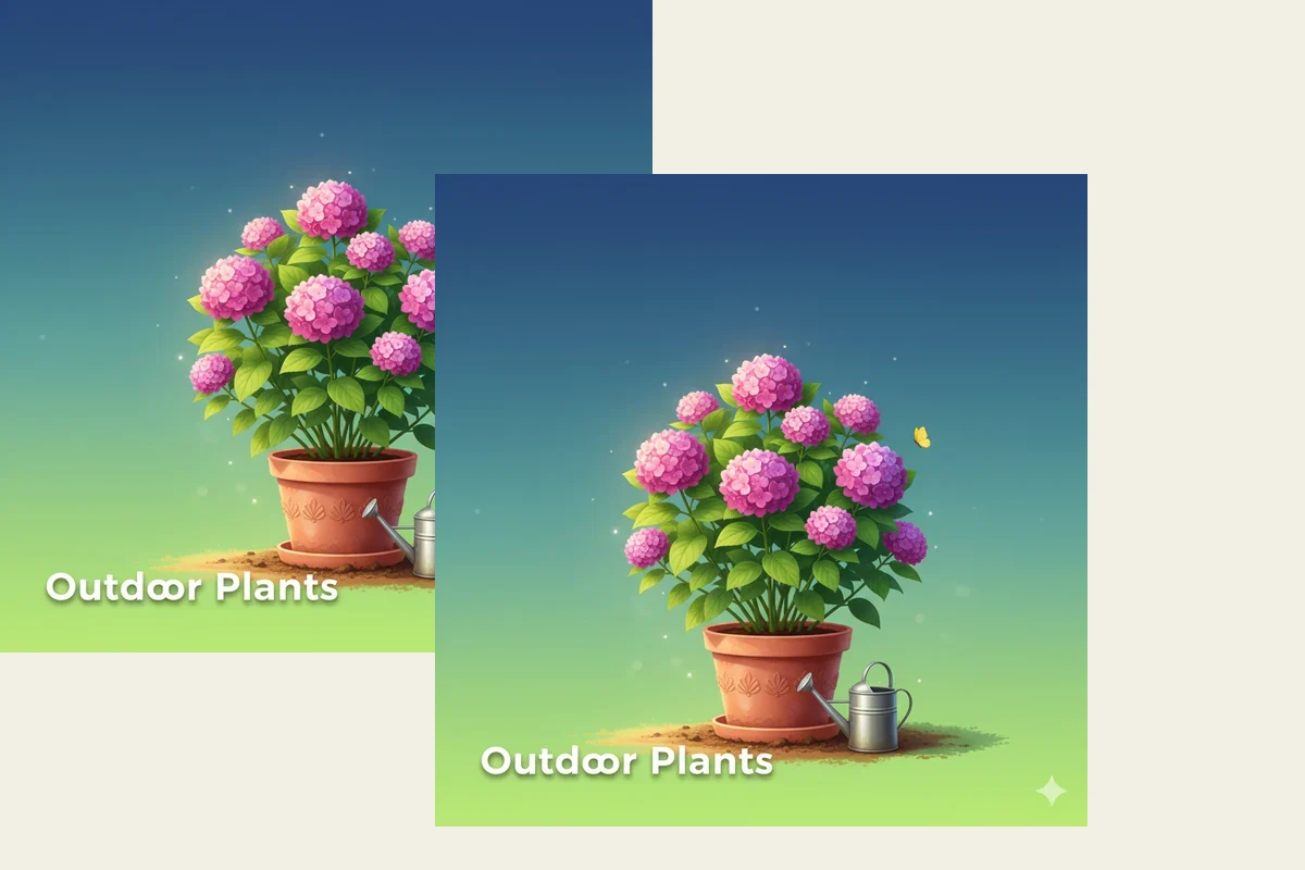 Low-Light Indoor Plant Bundle from Whole Lot of Nature